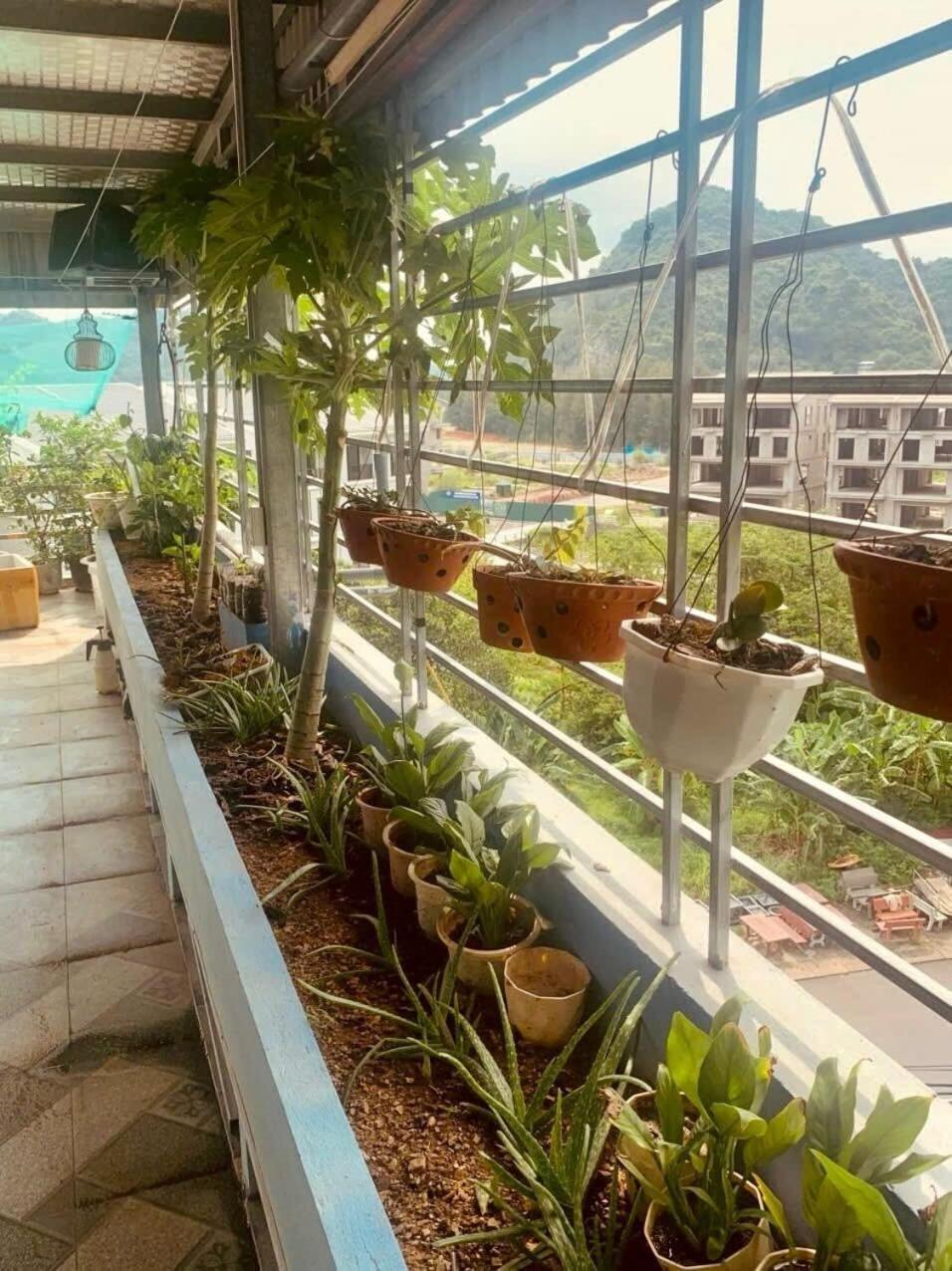 Thu Thuy Hotel Chan Chau Ngoại thất bức ảnh